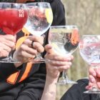 terviseks! TOHI džinniga džinntoonikud