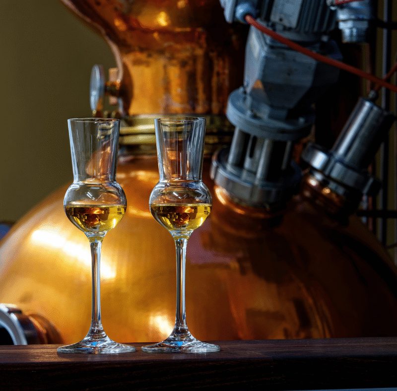 Džinni valmistamise kursus Kohilas, Tohi Distillery