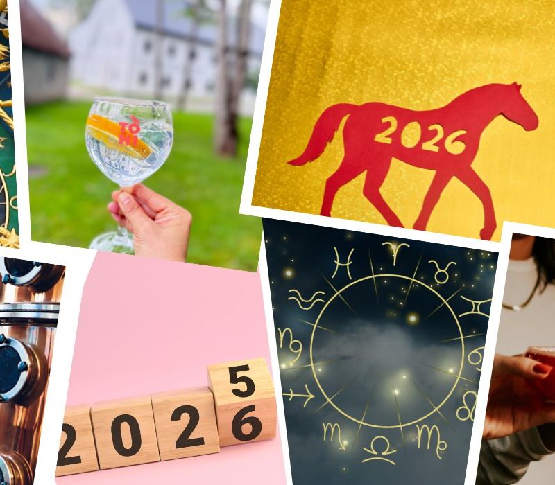 Horoskoop 2025 ehk Tohiskoop. Kogu tõde uuest aastast